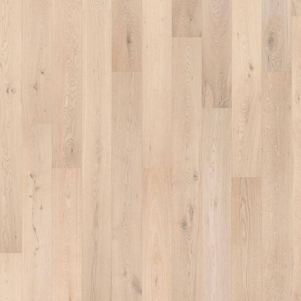 7.5" White Lacquer Oak