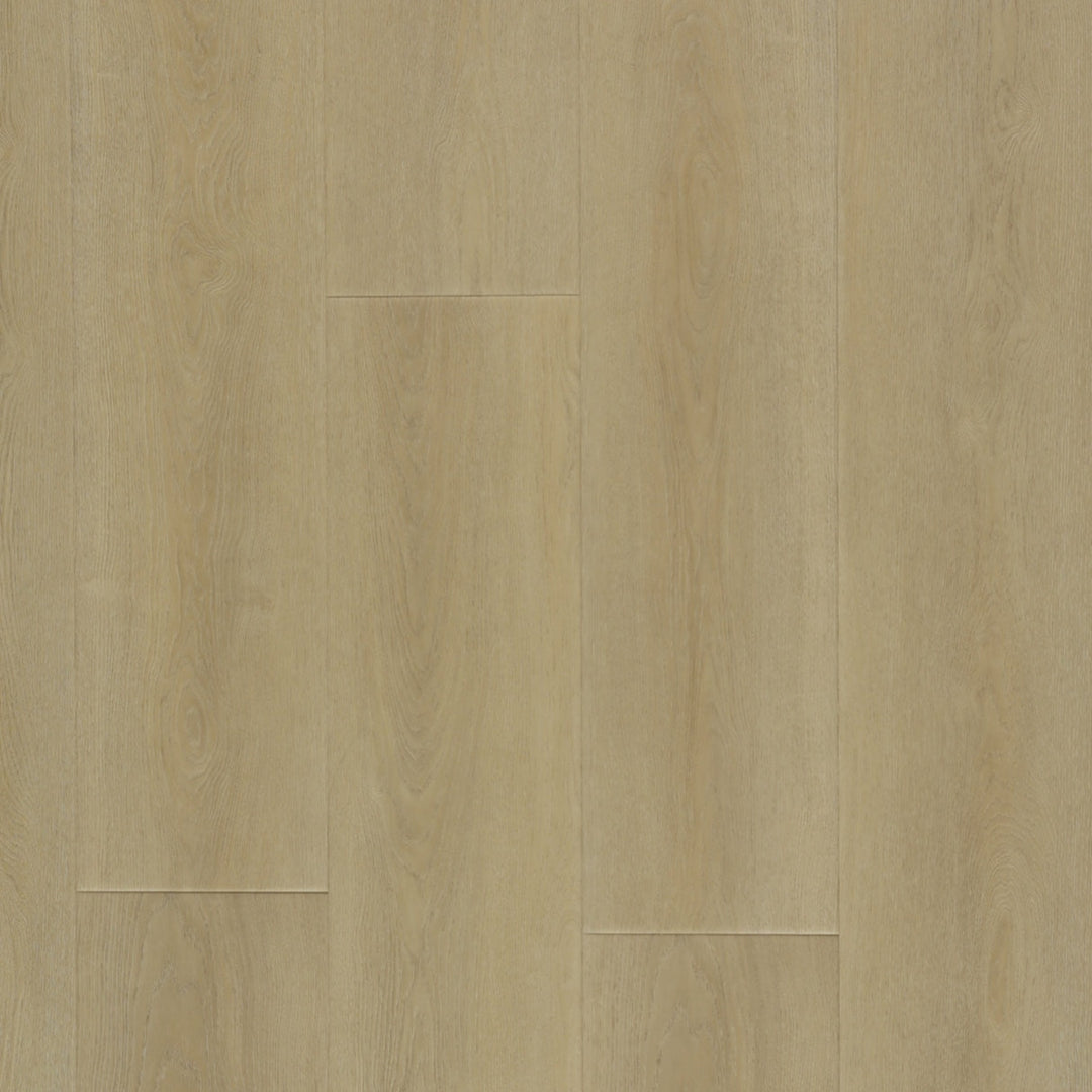 Moonlight Oak+