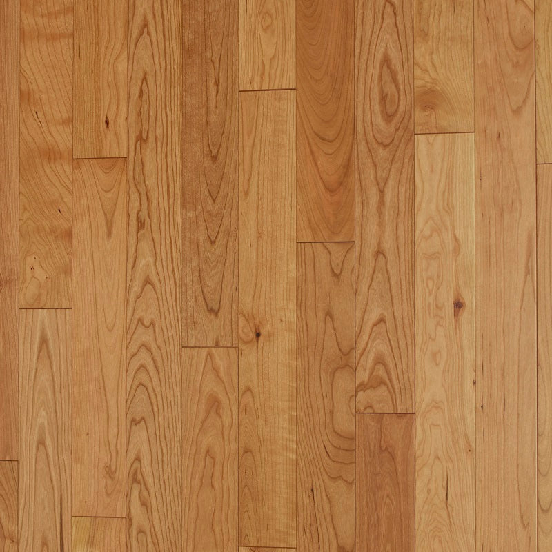 American Cherry Clear
