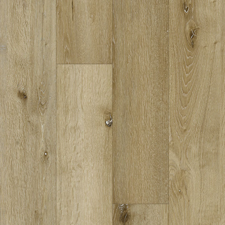 Appalachian Mountain RLVP- SAMPLE