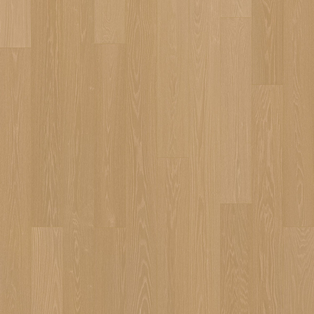 6" Aria Select- SAMPLE