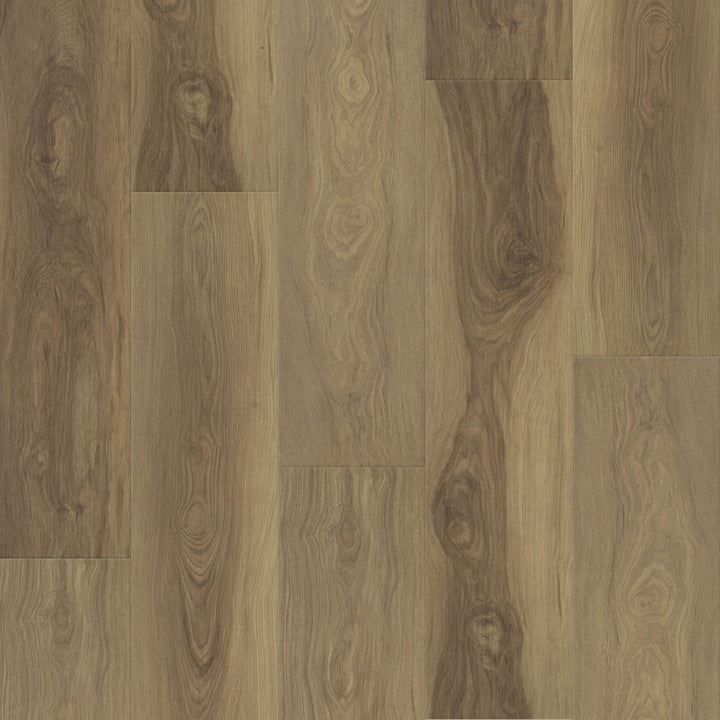 Bristol Laminate