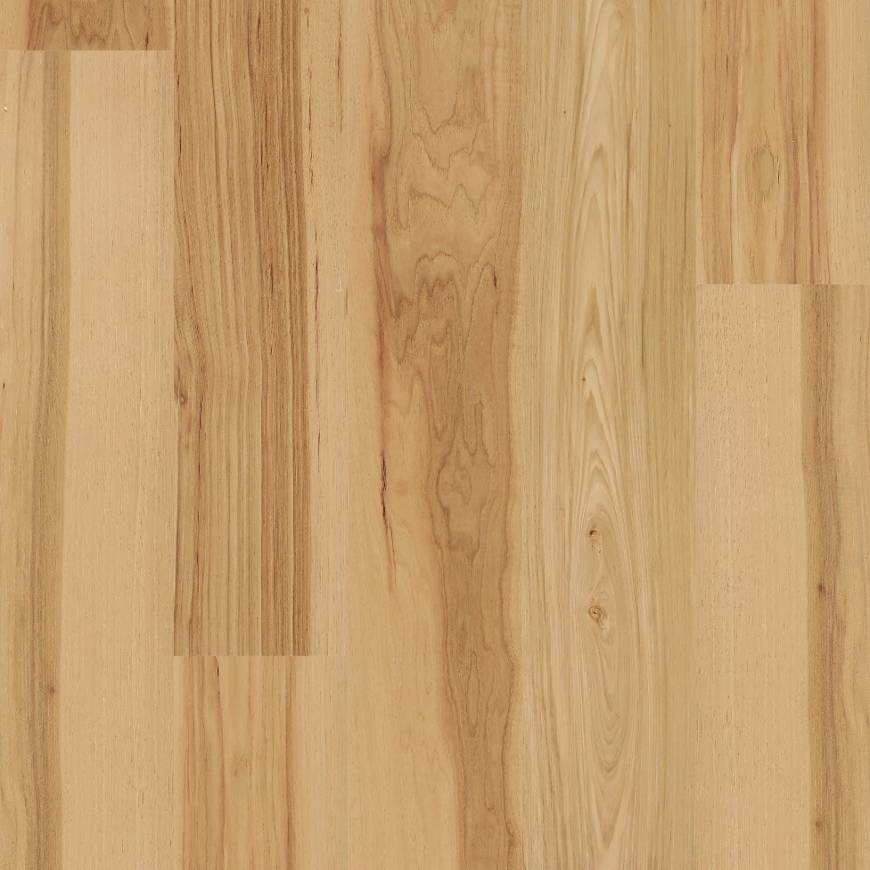 7.5" Atlantic Cape Hickory- SAMPLE