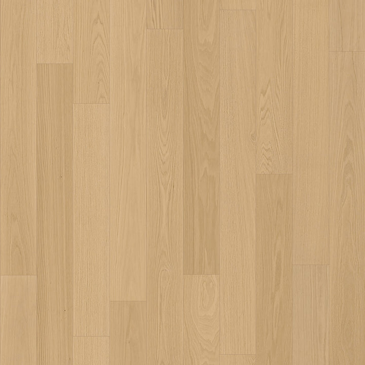 7.5" European Oak Chardon Select