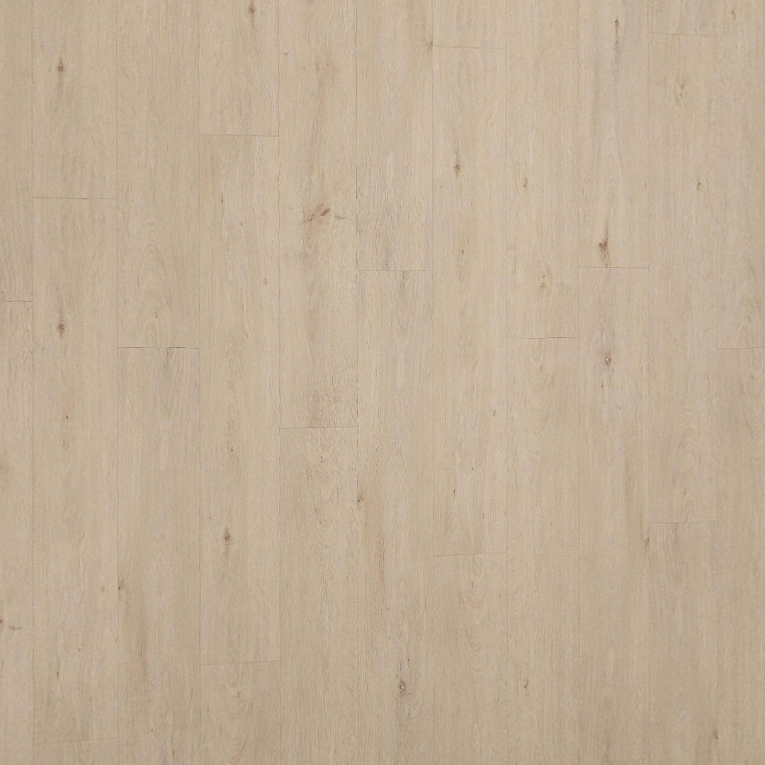 Resi Creek RLVP- SAMPLE