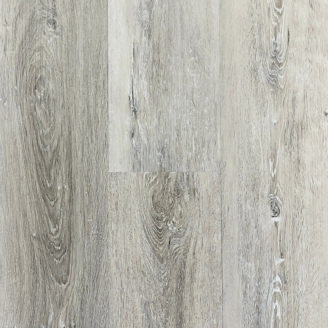 Dusty Star RLVP- SAMPLE