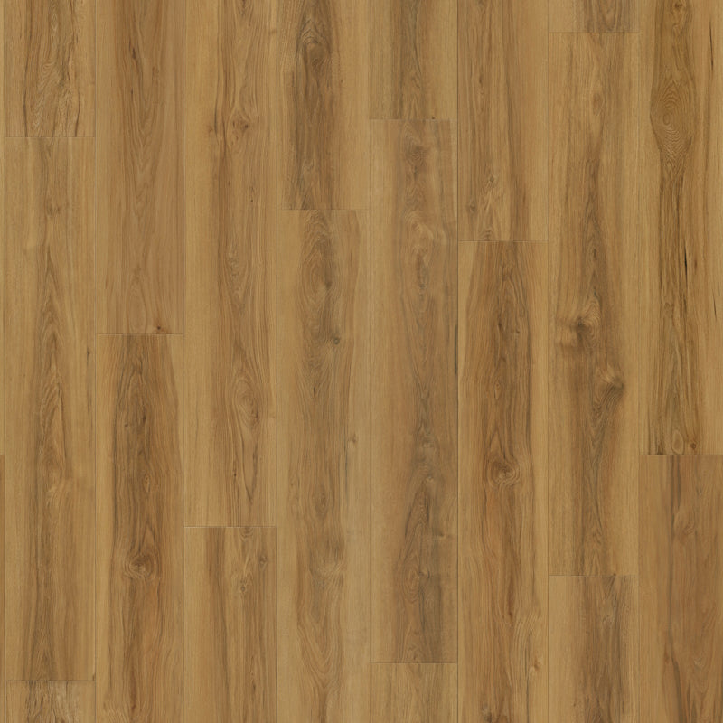 Fire Creek Grandview RLVP