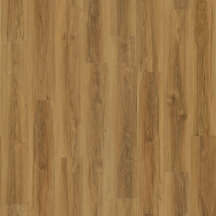 Fire Creek Grandview RLVP