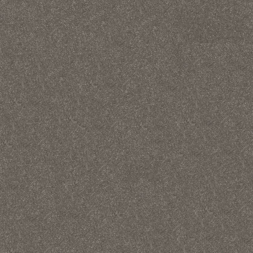 Hard At Play Collection