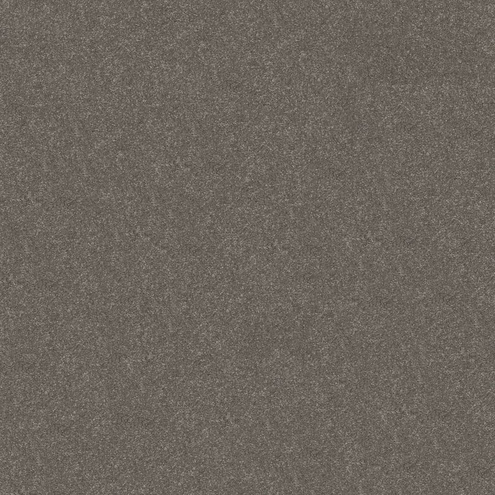 Hard At Play Collection