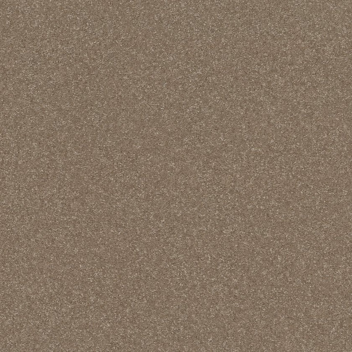 Hard At Play Collection