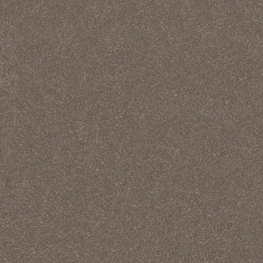 Hard At Play Collection