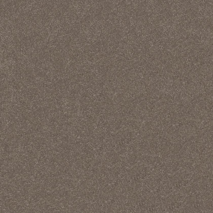 Hard At Play Collection