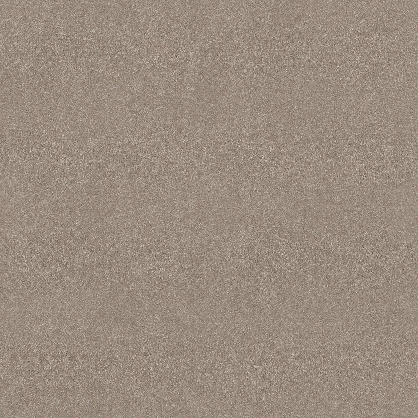 Hard At Play Collection