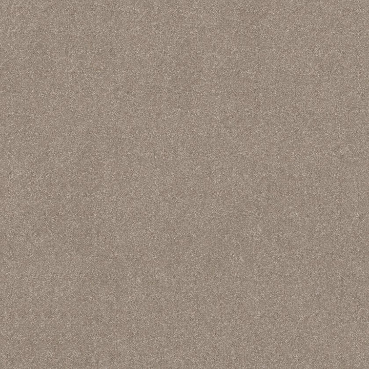 Hard At Play Collection