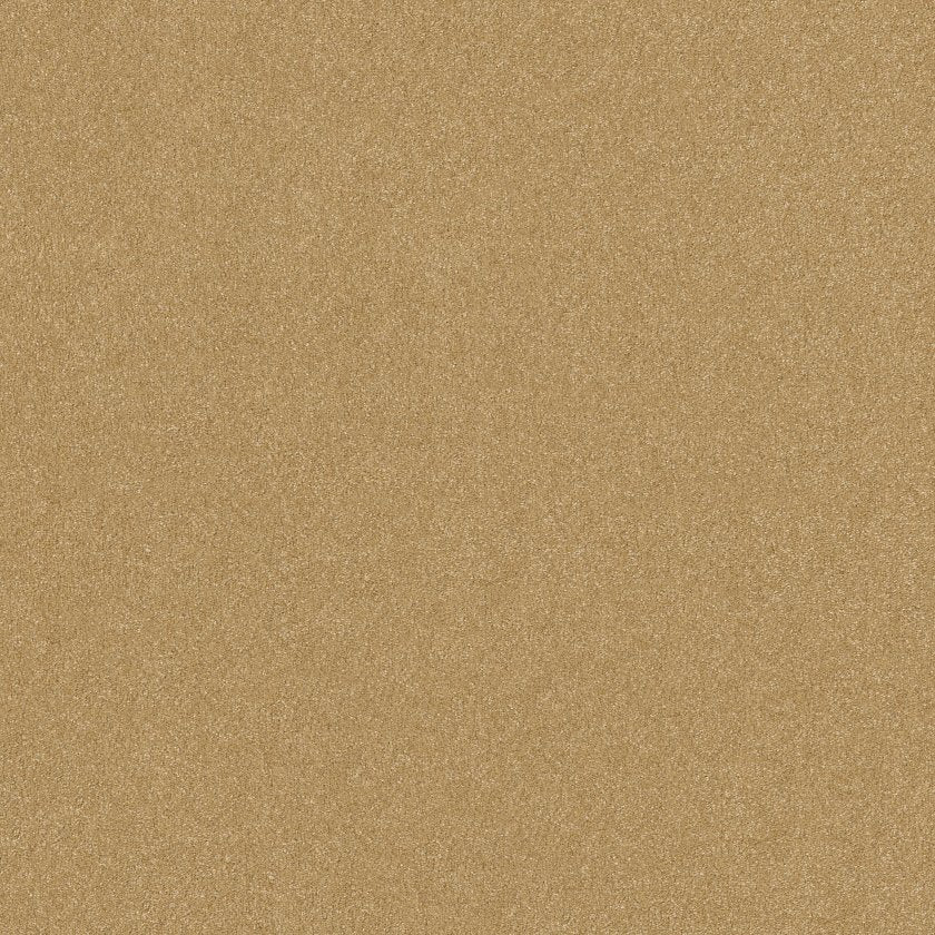 Hard At Play Collection