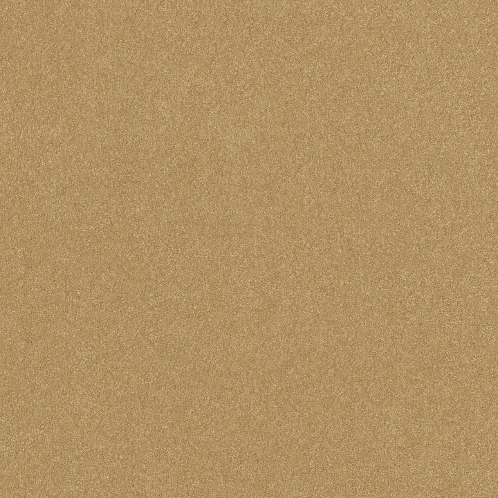 Hard At Play Collection