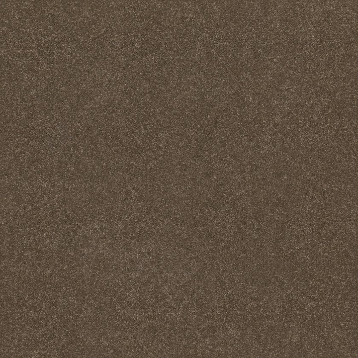 Hard At Play Collection