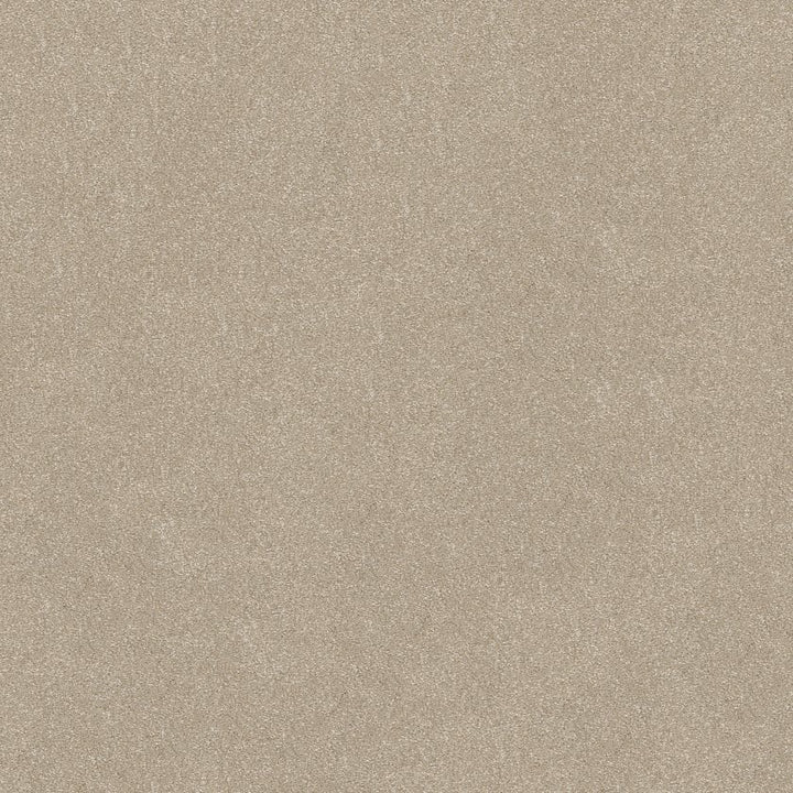 Hard At Play Collection