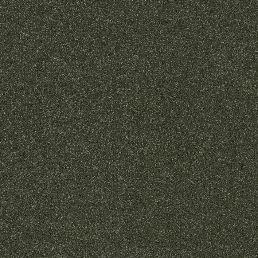 Hard At Play Collection