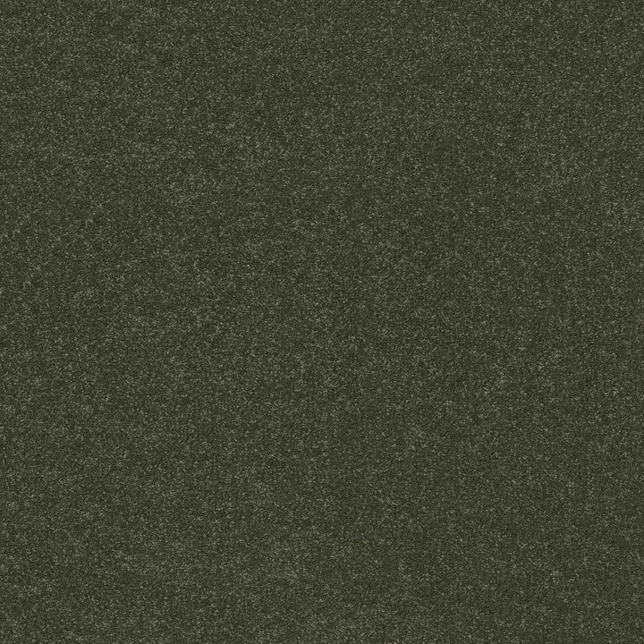 Hard At Play Collection