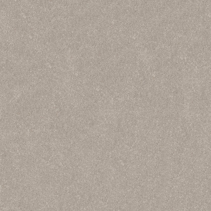 Hard At Play Collection