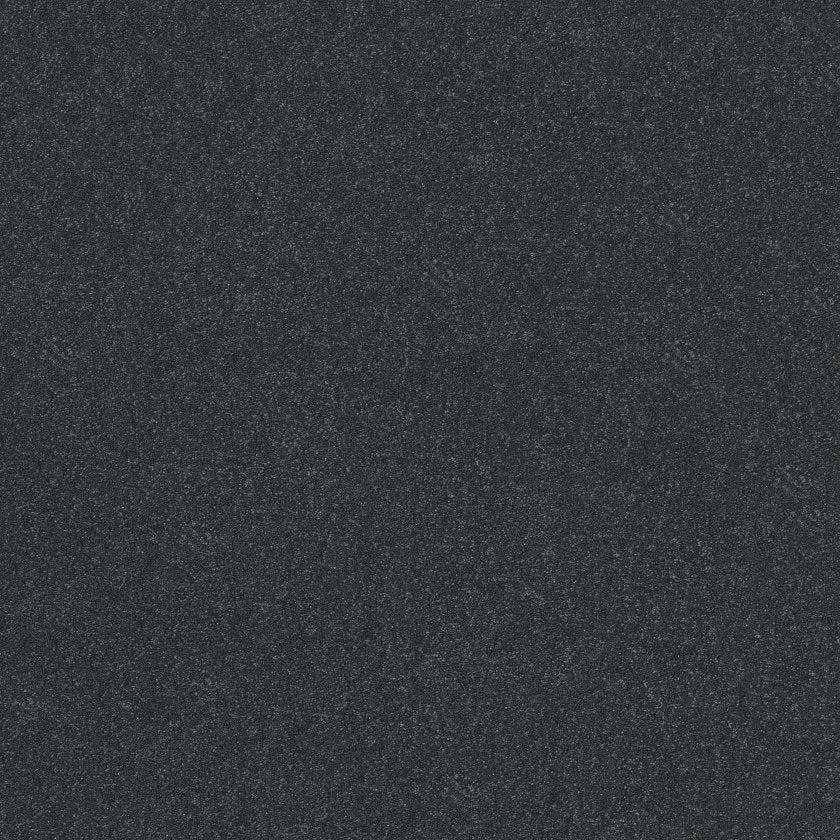 Hard At Play Collection