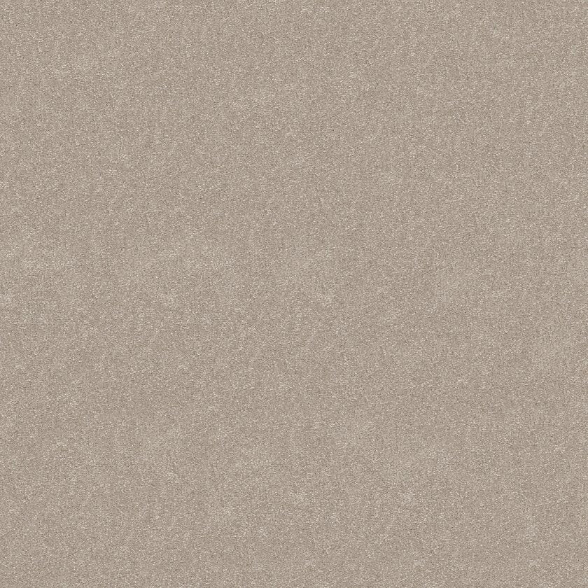 Hard At Play Collection