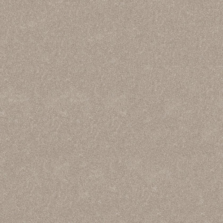 Hard At Play Collection