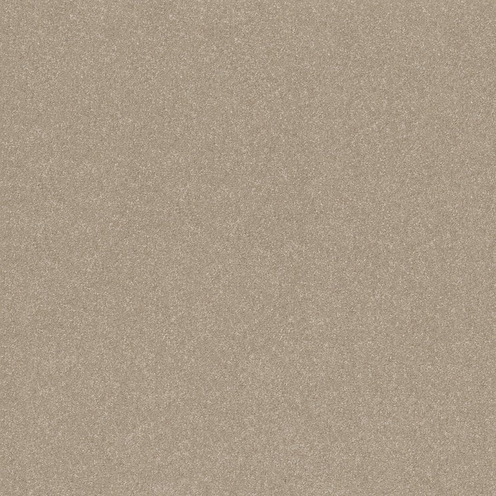 Hard At Play Collection