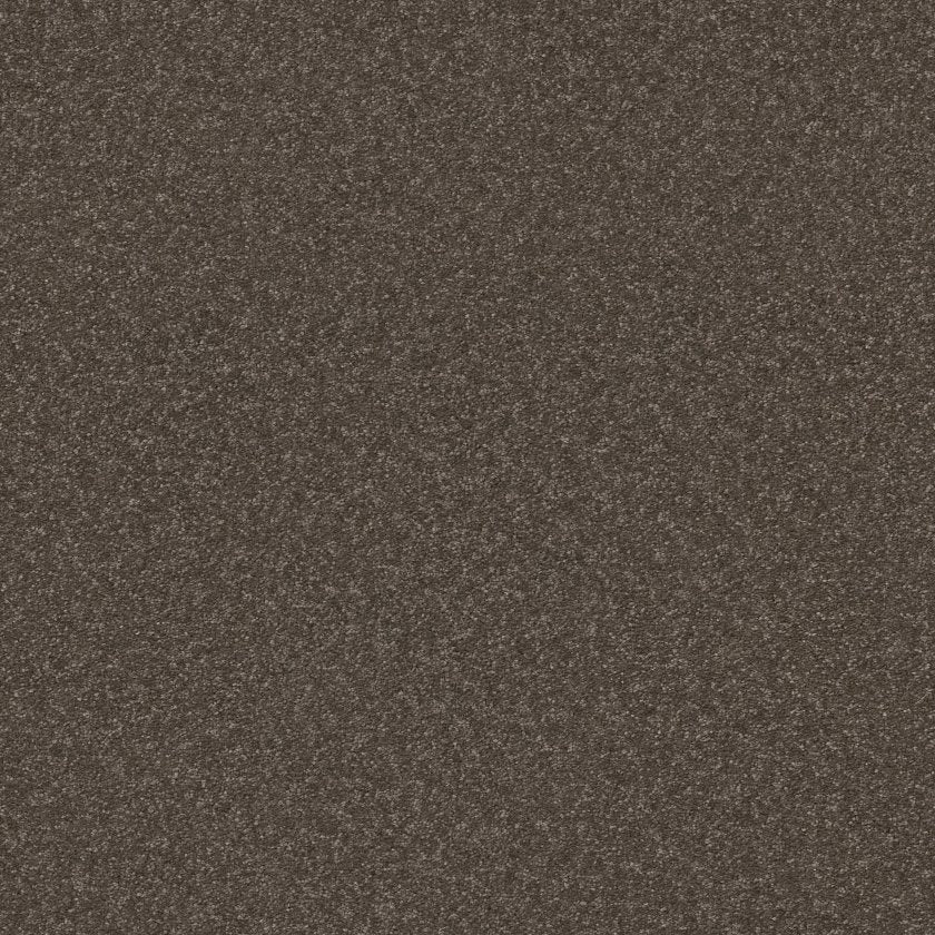 Hard At Play Collection