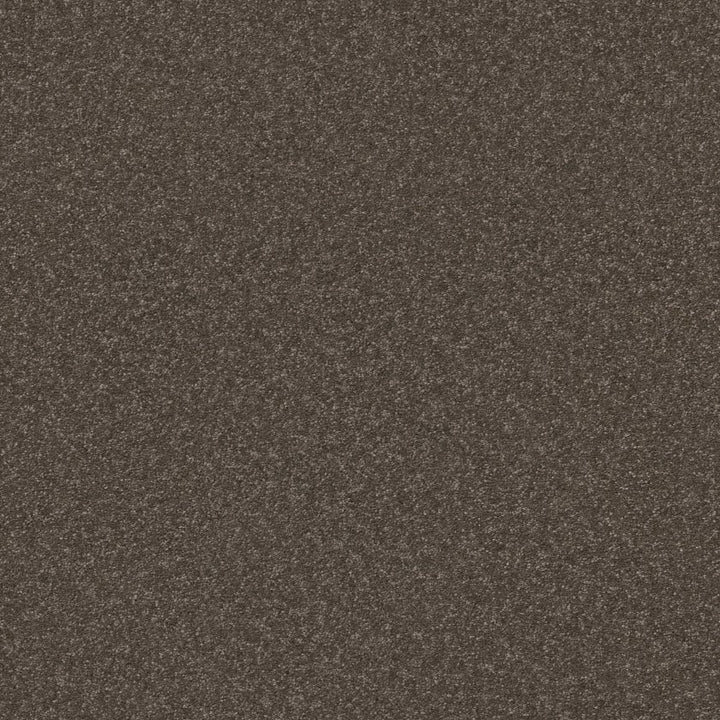 Hard At Play Collection