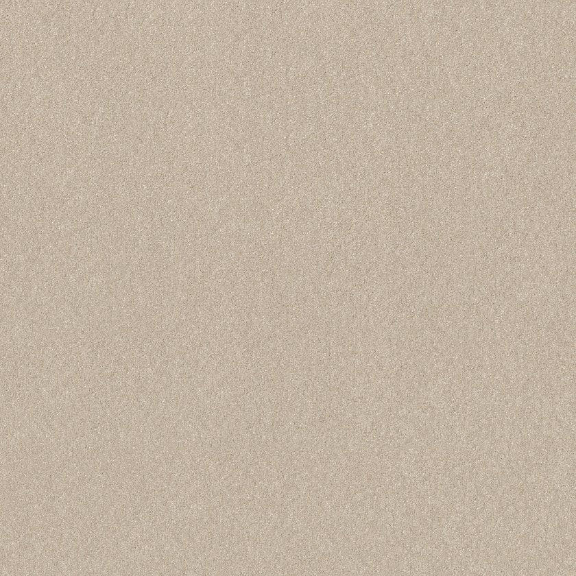 Hard At Play Collection