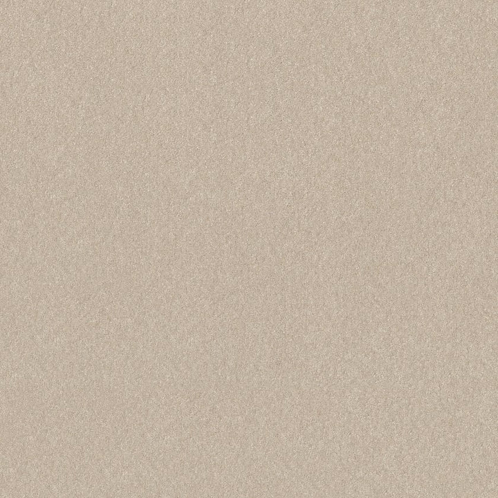 Hard At Play Collection