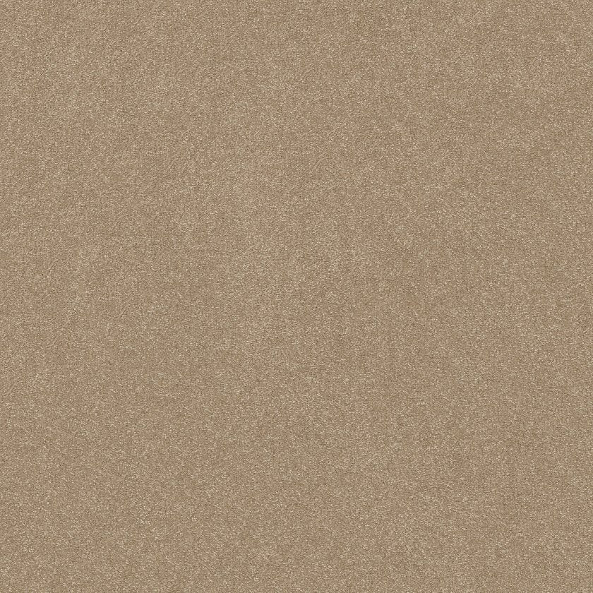 Hard At Play Collection