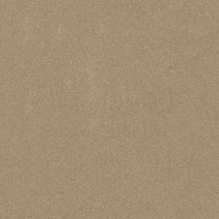 Hard At Play Collection