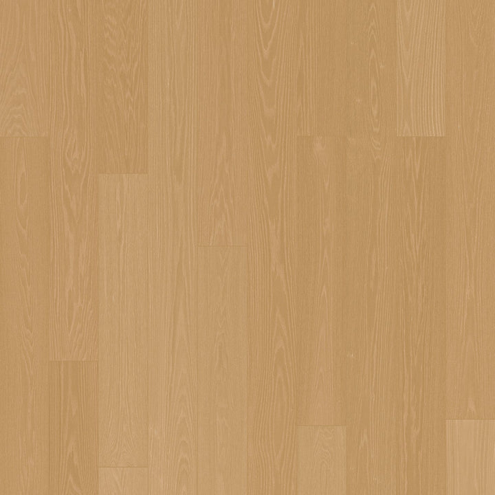 6" American Oak Halo Select