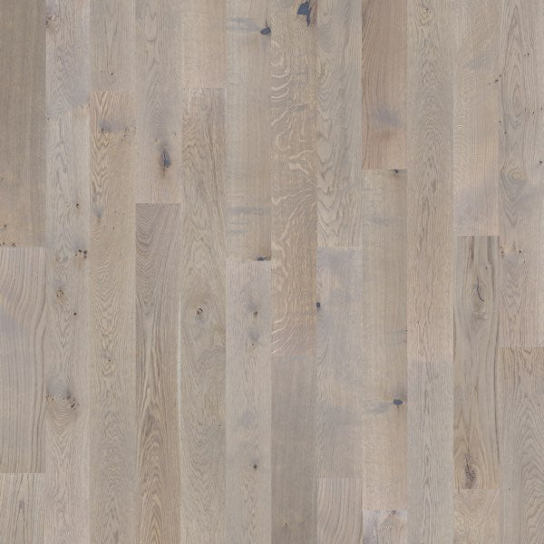 Harris Island Oak