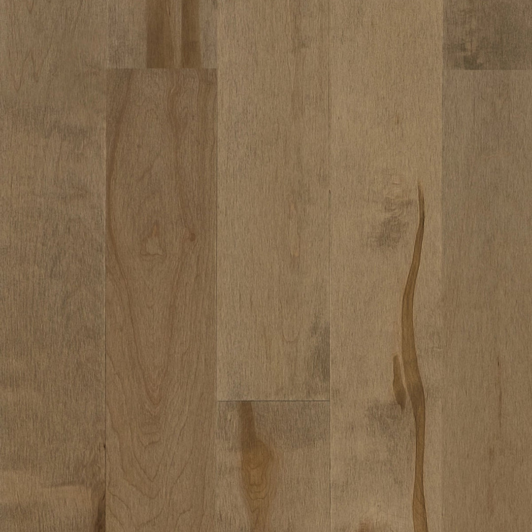 4 1/4" Hidden Treasure Maple