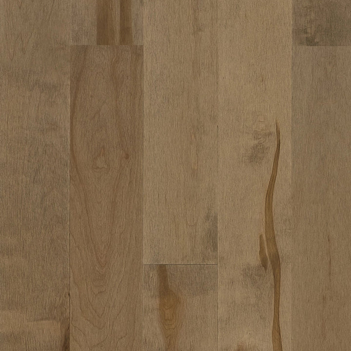 4 1/4" Hidden Treasure Maple