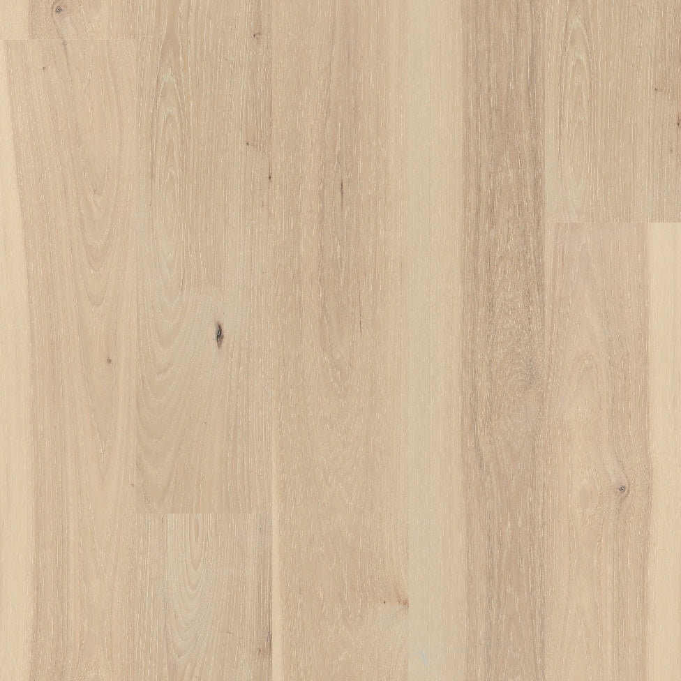 7.5" Atlantic Island Hickory