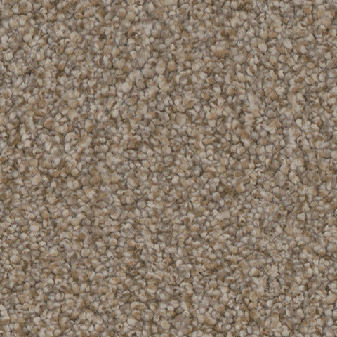 Summerland Collection