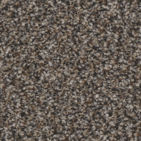 Summerland Collection