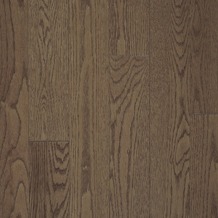 Northern Butterscotch Pro