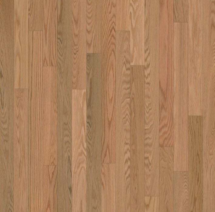 Northern Red Oak Clear
