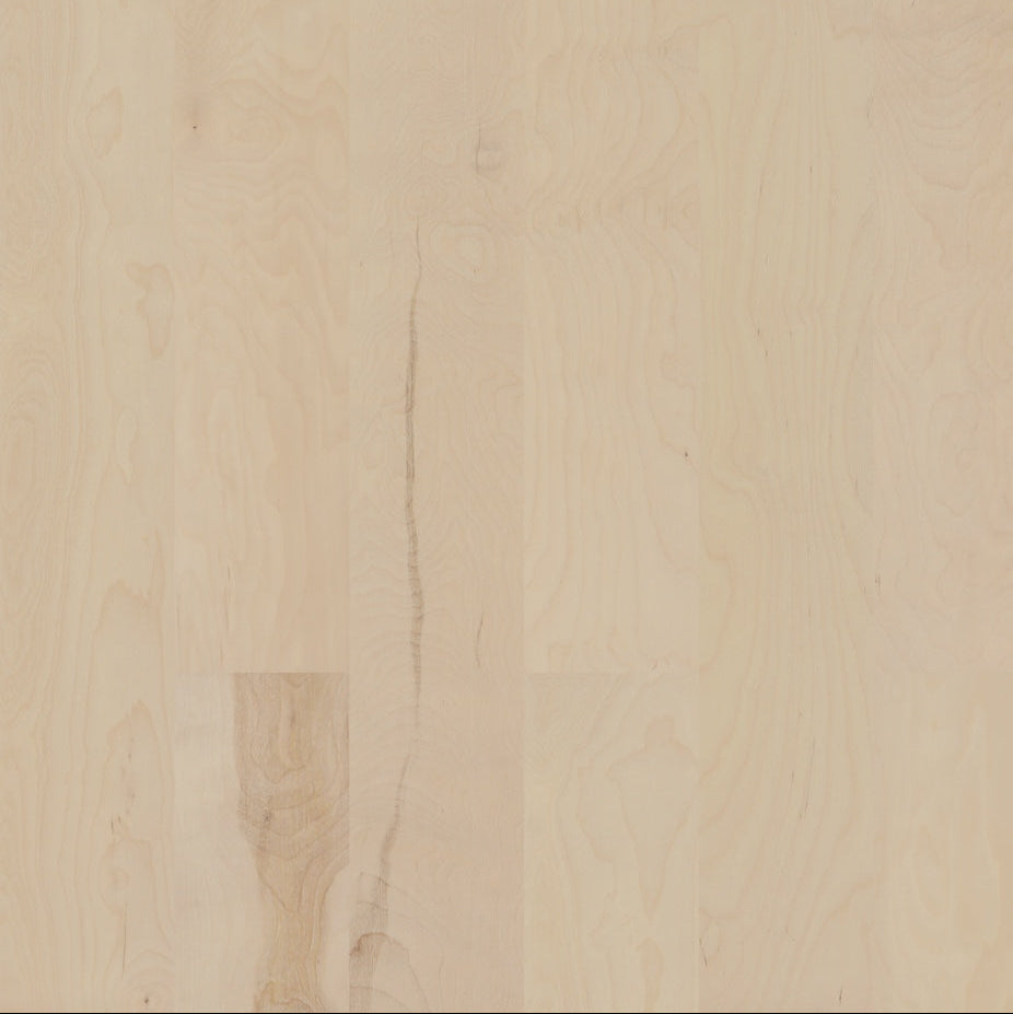 6.5" Pale Birch Wirebrushed
