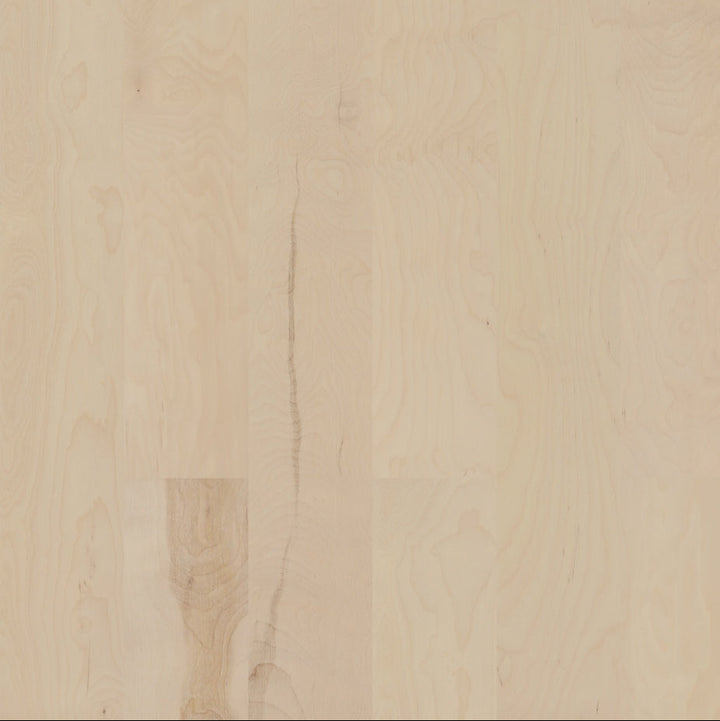 6.5" Pale Birch Wirebrushed