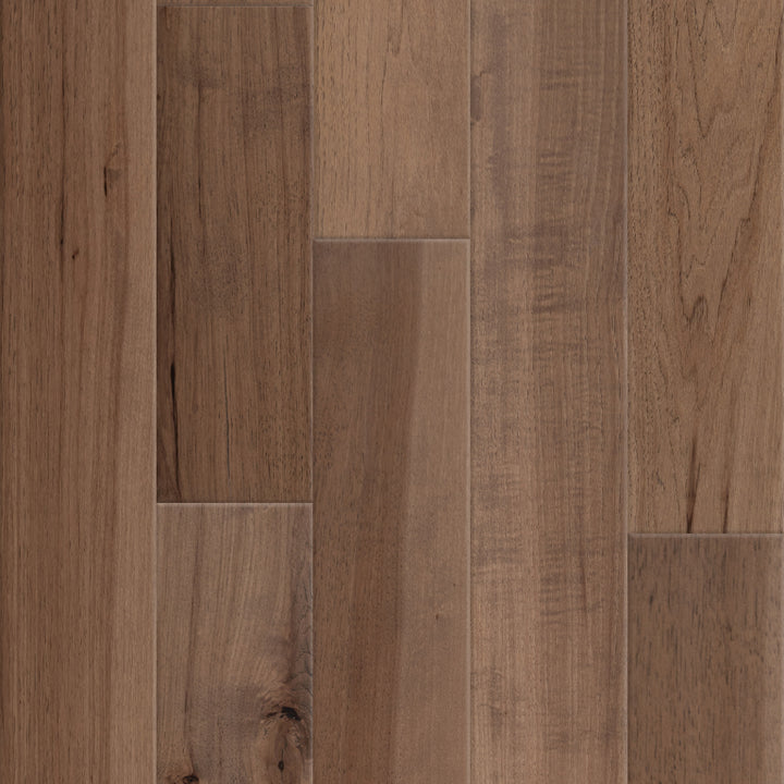 Plant Street Hickory