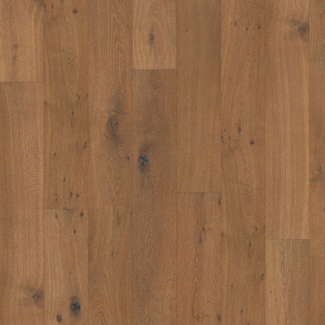 9.5" Rhone European Oak