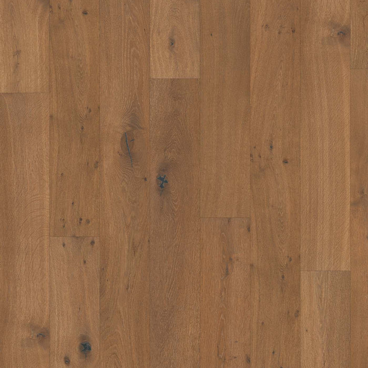 9.5" Rhone European Oak